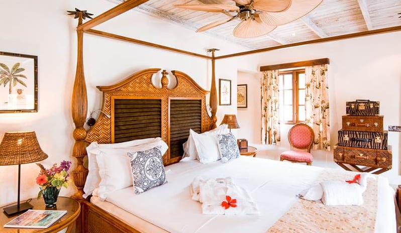 JUNIOR PLANTAATION 2